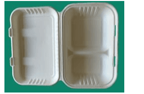 Bagasse Meal Box 2 Compartment (9x6x2.5")