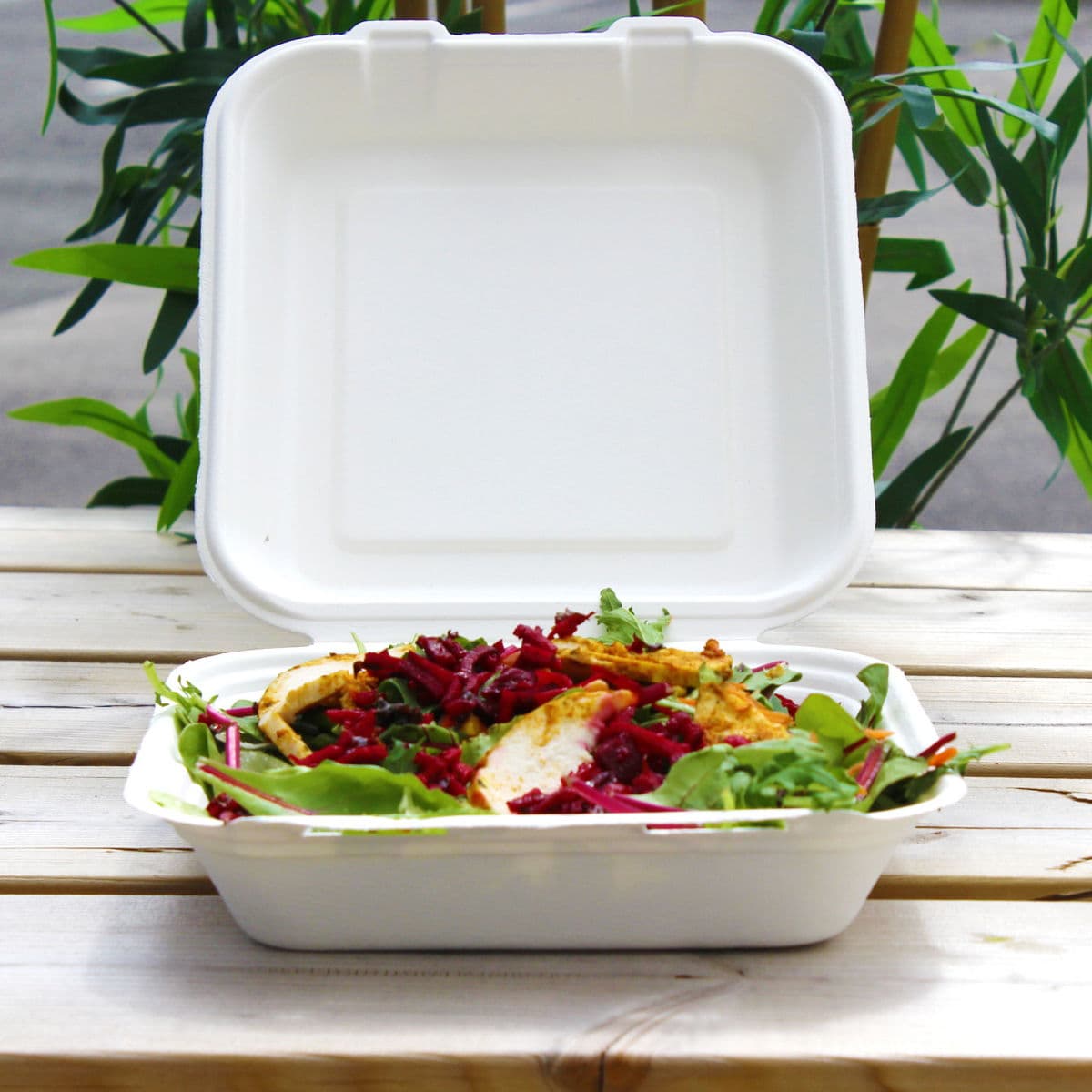 9x9" Bagasse Meal Box 2