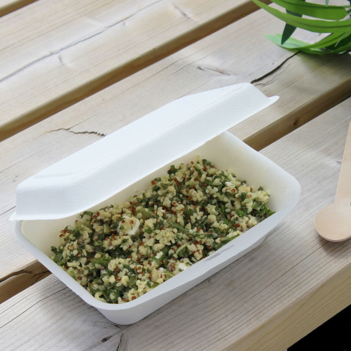 Bagasse Small Lunch Box 2