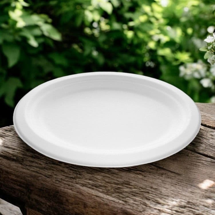 Bagasse Oval Plate (10.5" x 8") 2