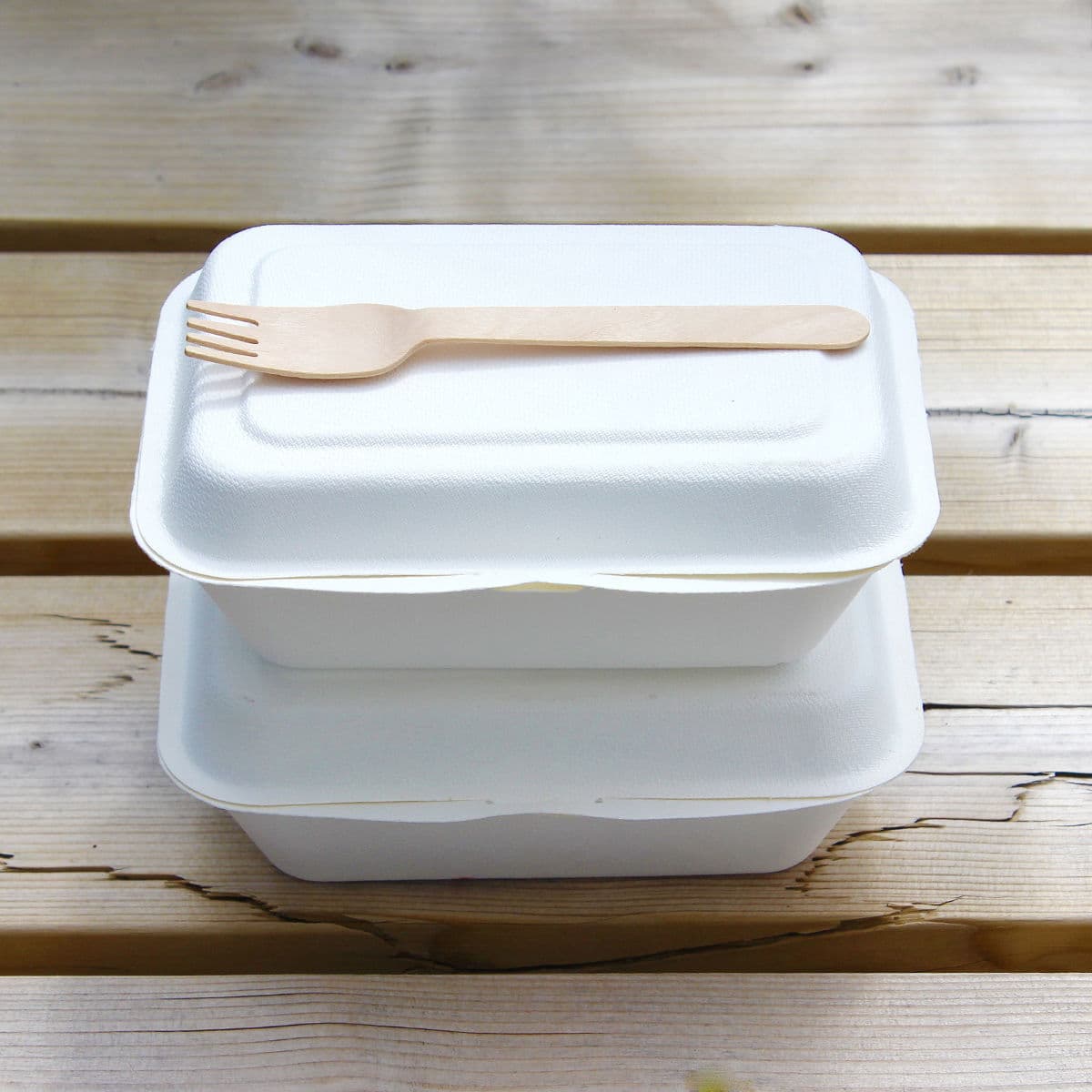 7" Bagasse Meal Box 2