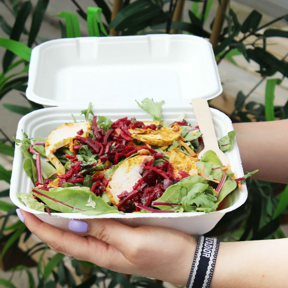 Bagasse Square Meal Box (8x8") 2